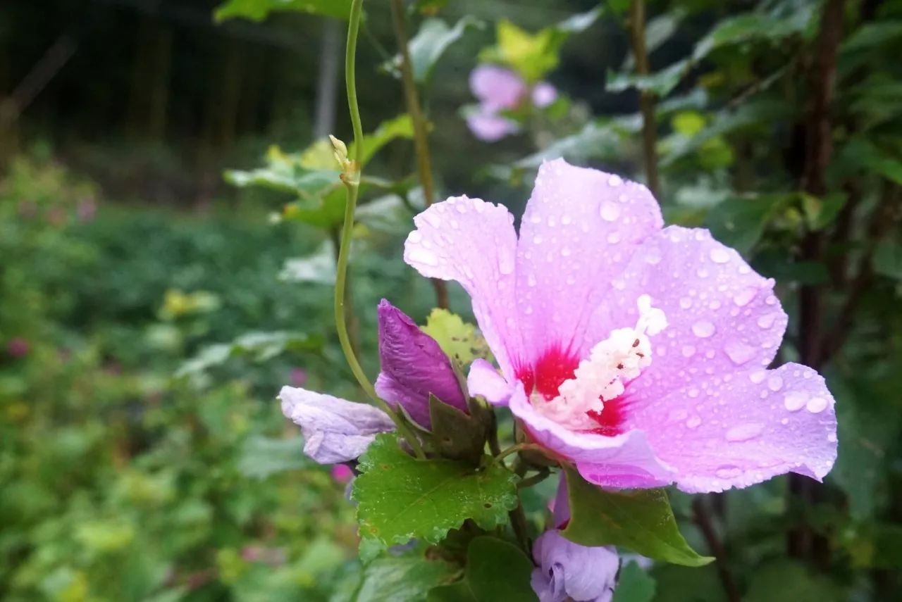 杭州·天方夜潭，給你一個「山脊之巔」的舞臺