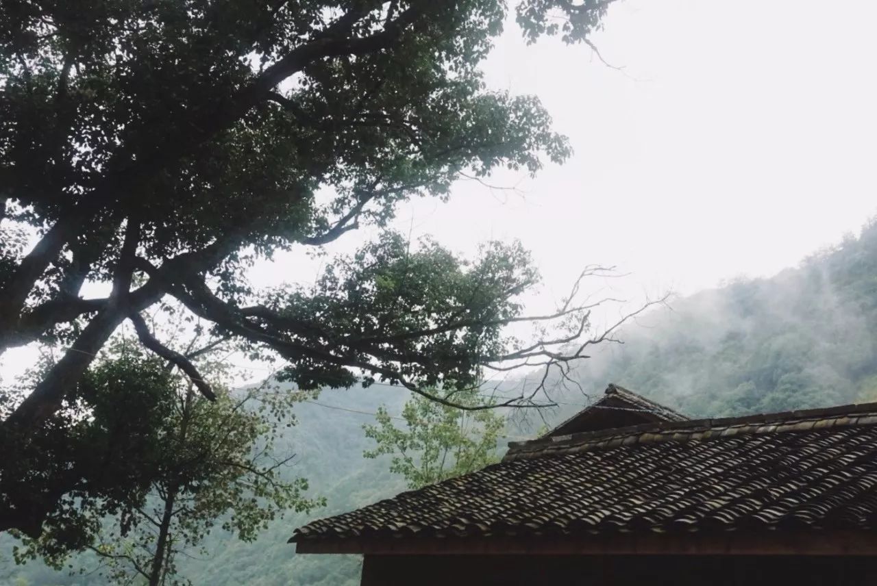 杭州·天方夜潭，給你一個「山脊之巔」的舞臺