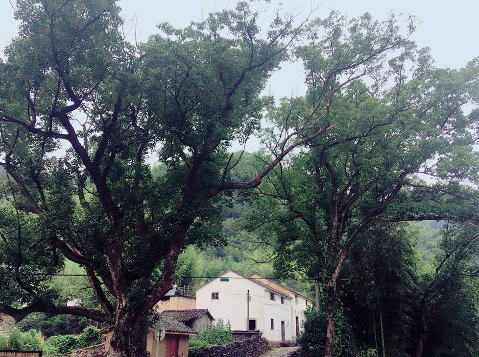 杭州·天方夜潭，給你一個(gè)「山脊之巔」的舞臺(tái)