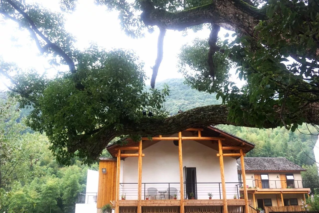 杭州·天方夜潭，給你一個(gè)「山脊之巔」的舞臺(tái)