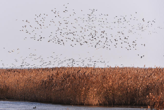 十二行宮·白羊?qū)m，盡享環(huán)島騎車之行
