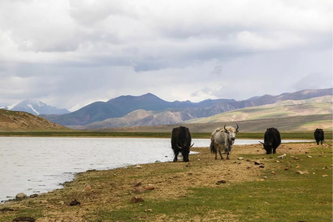 十二行宮·白羊?qū)m，盡享環(huán)島騎車之行