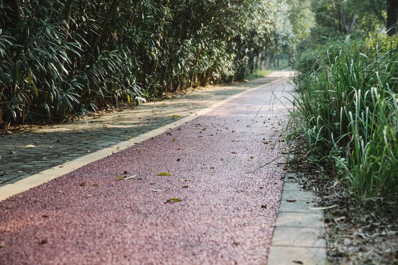 十二行宮·白羊?qū)m，盡享環(huán)島騎車之行