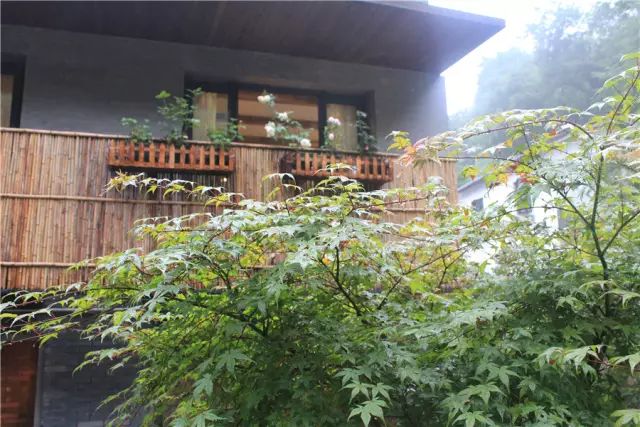 杭州·一色山墅，滿覺隴的月色喝茶散步都是雅事