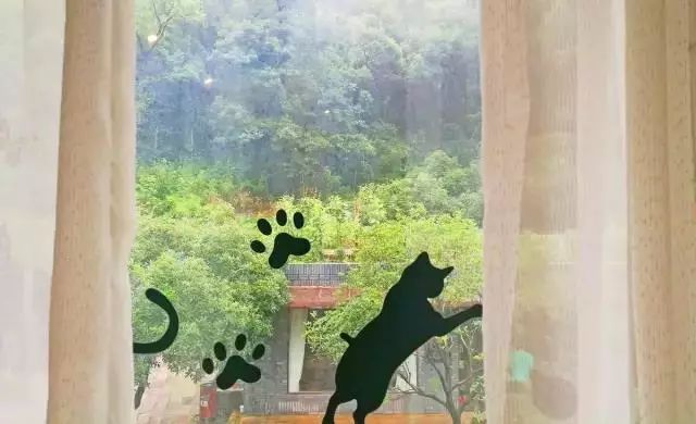 杭州·一色山墅，滿覺(jué)隴的月色喝茶散步都是雅事