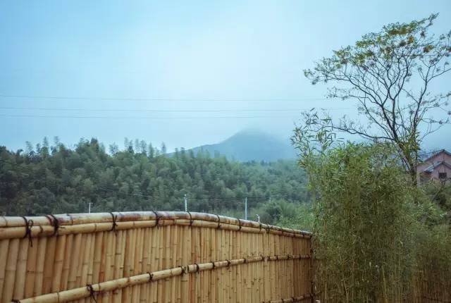 木葉夏民宿，云天收夏色木葉動秋聲