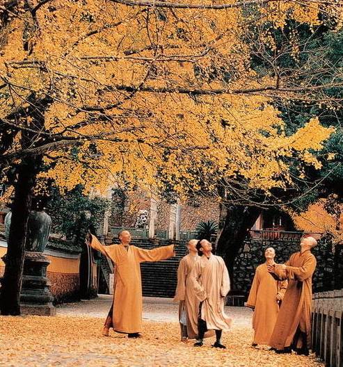 寺廟佛教文化，蕓蕓眾生便是修行