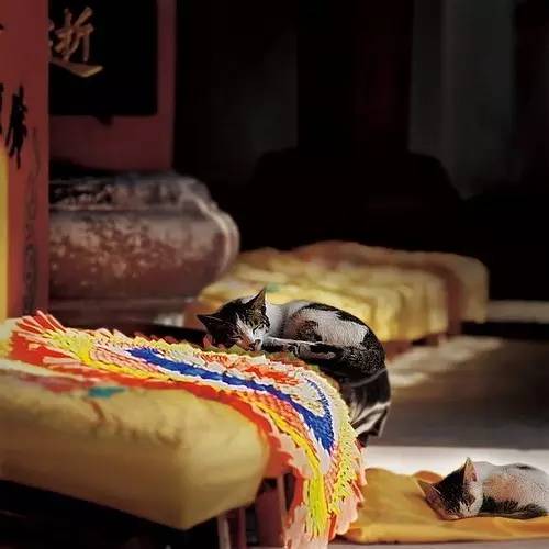 寺廟佛教文化，蕓蕓眾生便是修行