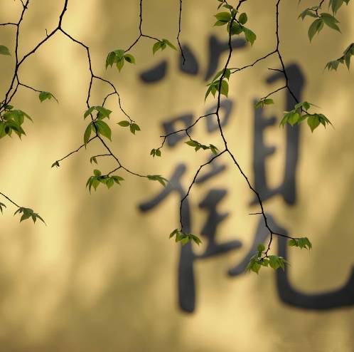 寺廟佛教文化，蕓蕓眾生便是修行