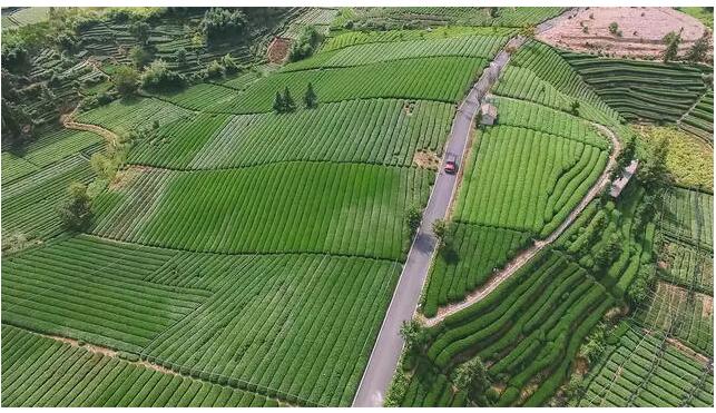 松陽·陌領(lǐng)浮光民宿，浮光指路茶香入夢