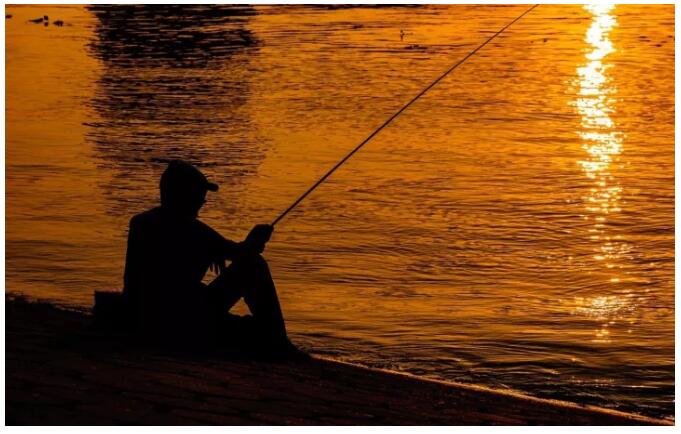 松陽(yáng)·陌領(lǐng)浮光民宿，浮光指路茶香入夢(mèng)