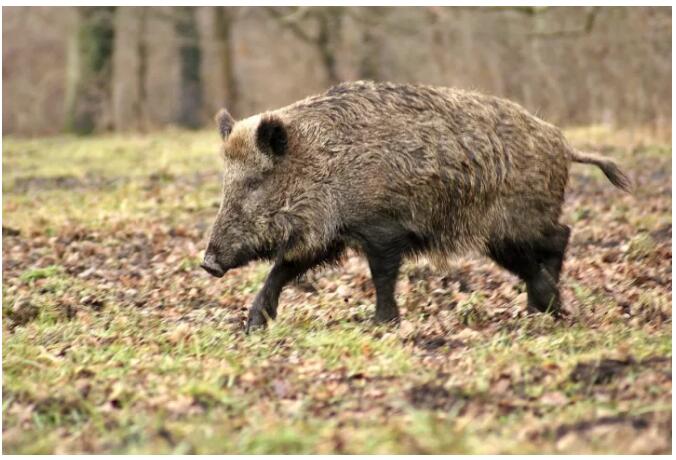 松陽(yáng)·陌領(lǐng)浮光民宿，浮光指路茶香入夢(mèng)