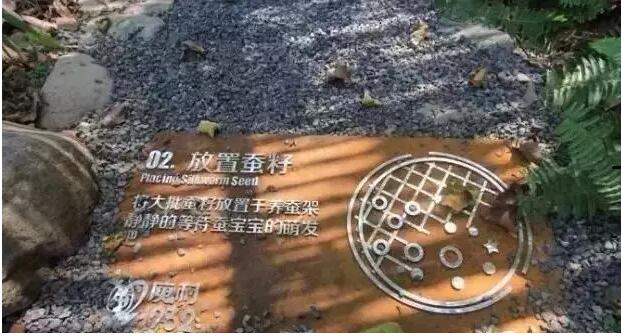 莫干山庾村1932文化市集，一村一世界