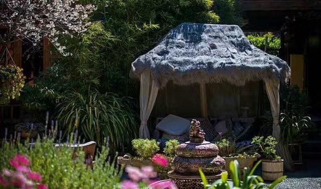 麗江束河無爾，在這里帶著夢想開花棲居