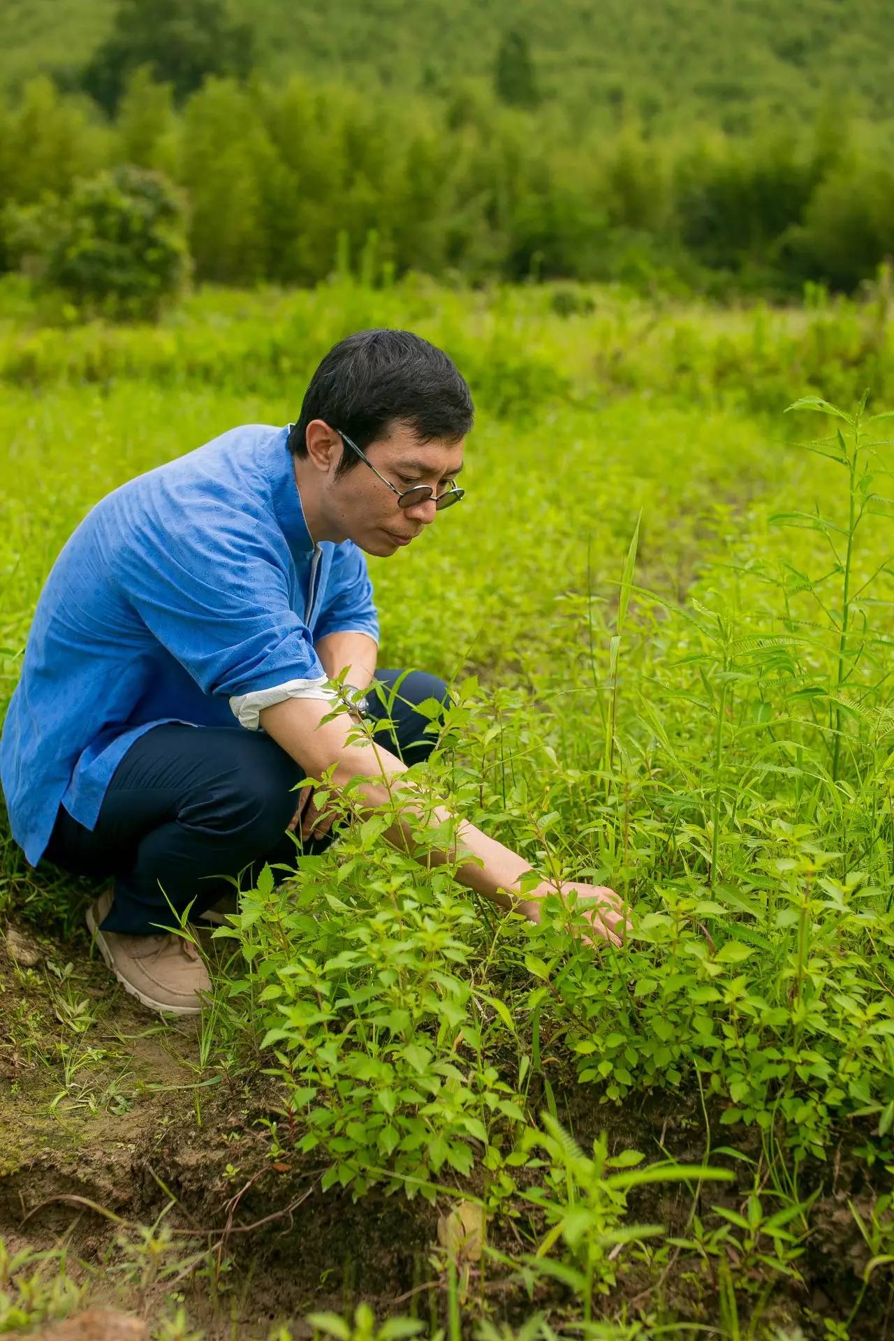 原舍·望山，享受最純粹的鄉(xiāng)村生活