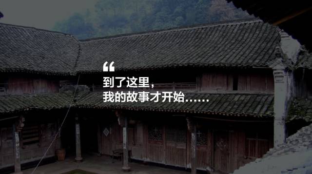 寧波·花雨醉，品花間一壺酒聽雨后醉朦朧