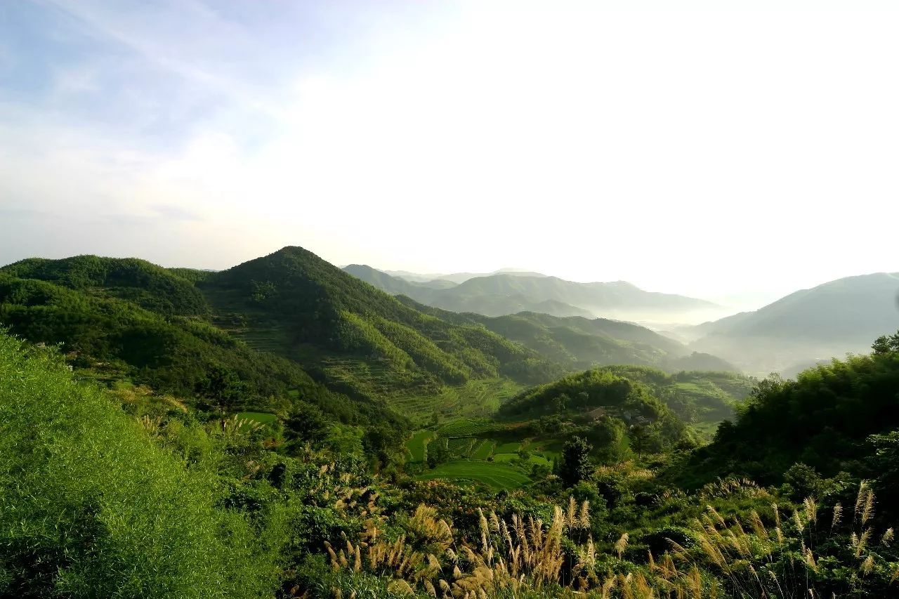寧波·花雨醉，品花間一壺酒聽雨后醉朦朧