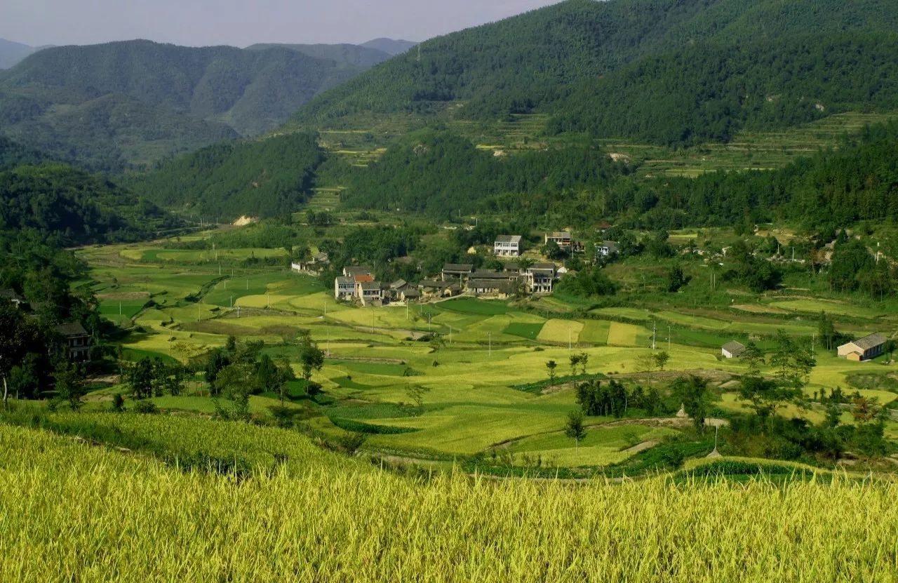 寧波·花雨醉，品花間一壺酒聽雨后醉朦朧