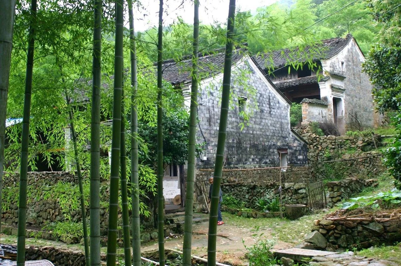寧波·花雨醉，品花間一壺酒聽雨后醉朦朧