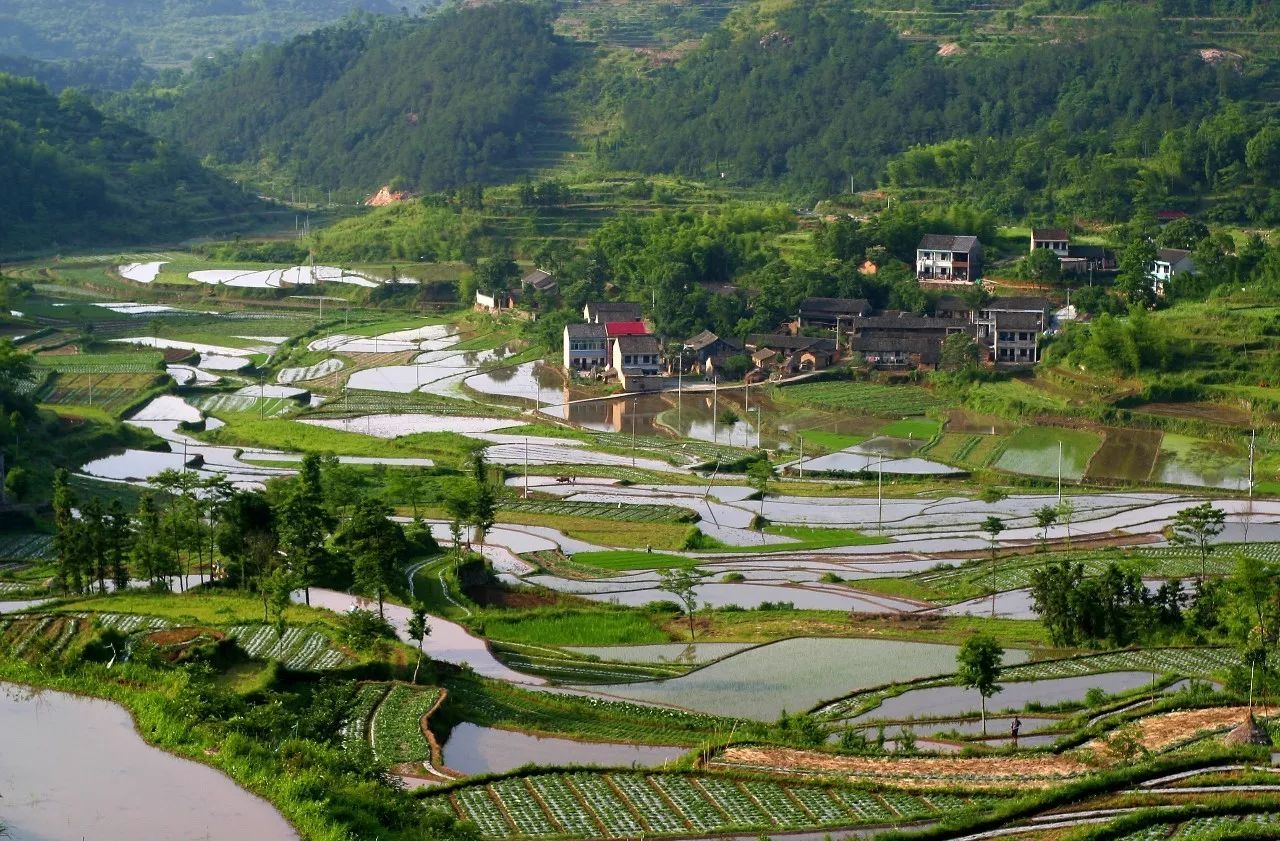 寧波·花雨醉，品花間一壺酒聽雨后醉朦朧