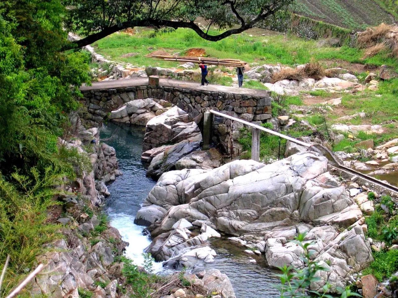 寧波·花雨醉，品花間一壺酒聽(tīng)雨后醉朦朧