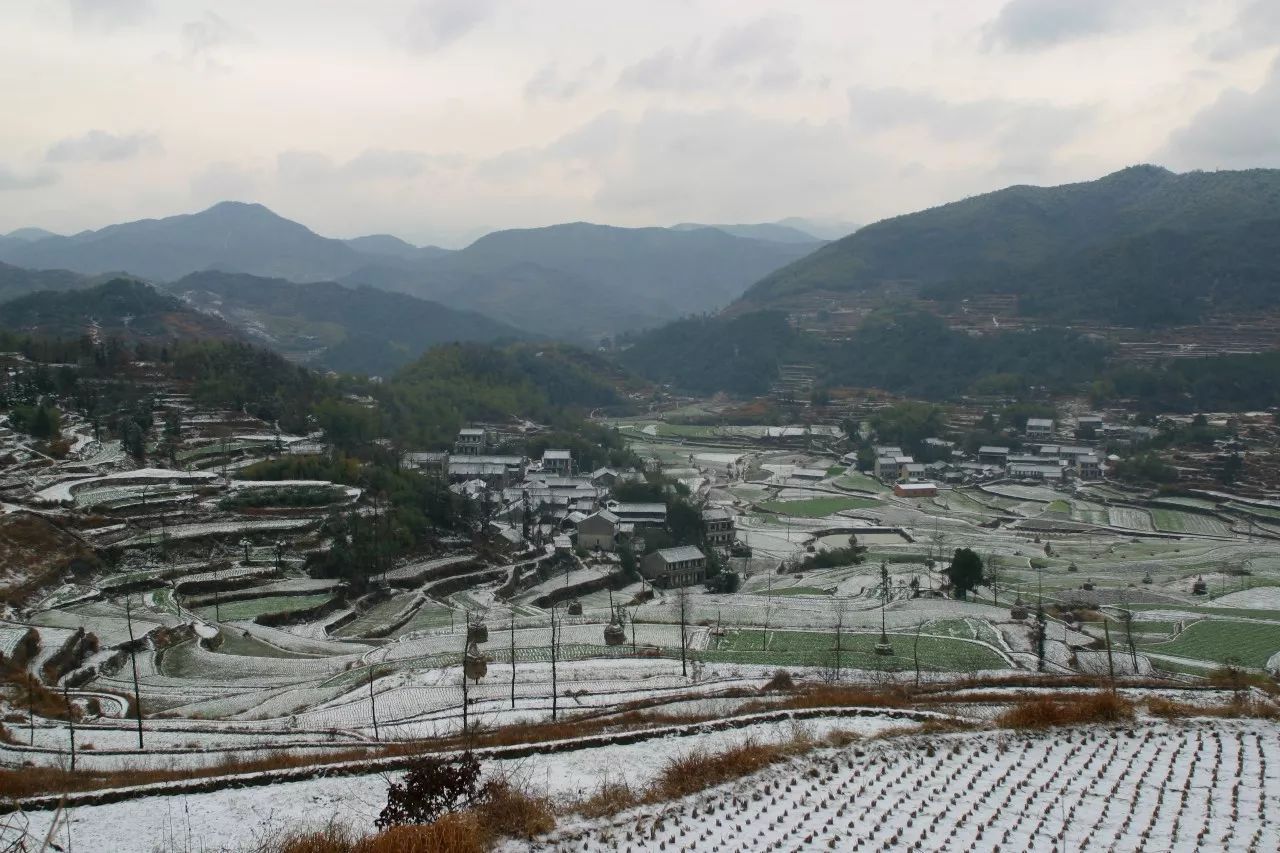 寧波·花雨醉，品花間一壺酒聽(tīng)雨后醉朦朧