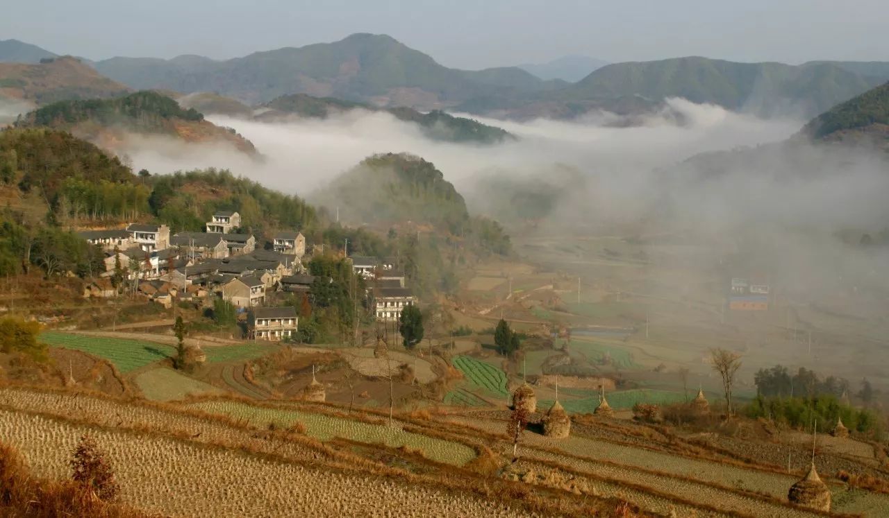寧波·花雨醉，品花間一壺酒聽雨后醉朦朧