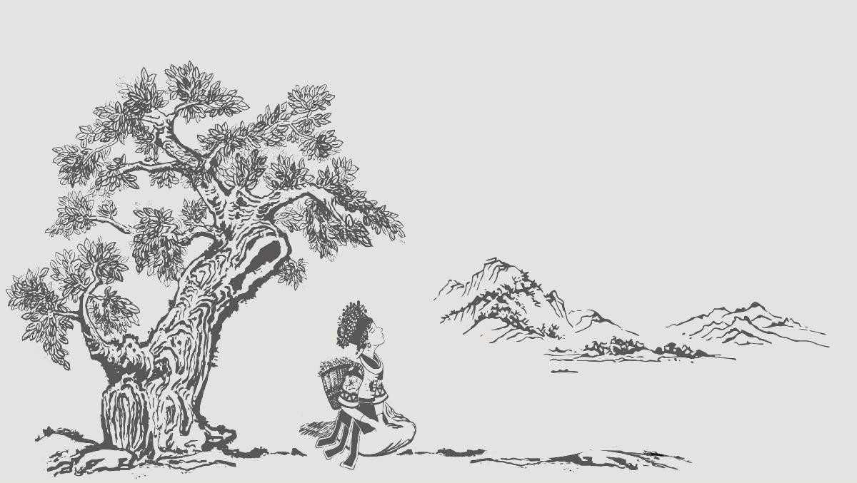 貴州民族特色包裝設(shè)計(jì)，古樹茶葉包裝設(shè)計(jì)