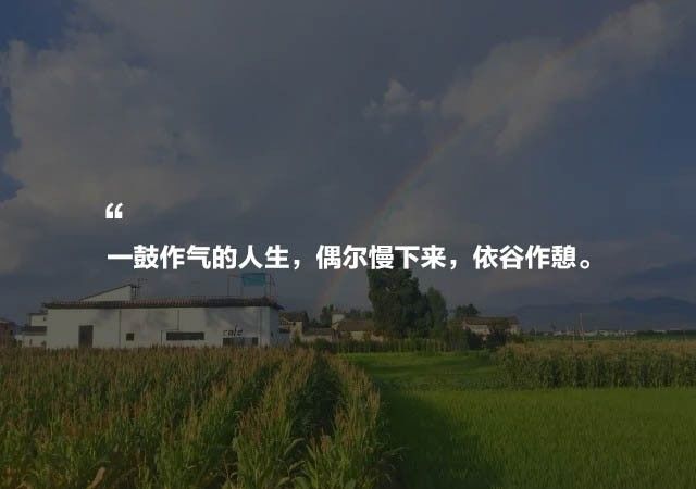 大理·依谷坐憩，在稻田里種間甜品店靜待光陰