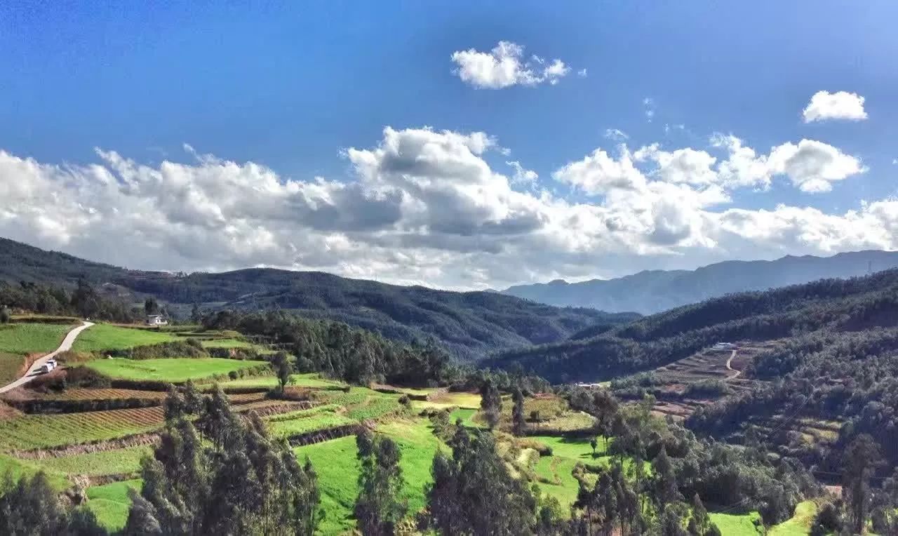 大理·依谷坐憩，在稻田里種間甜品店靜待光陰