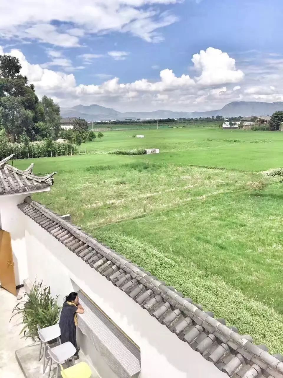 大理·依谷坐憩，在稻田里種間甜品店靜待光陰