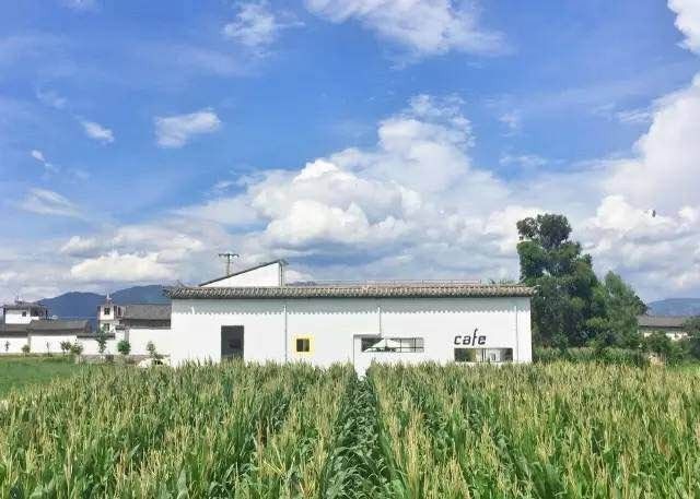 大理·依谷坐憩，在稻田里種間甜品店靜待光陰