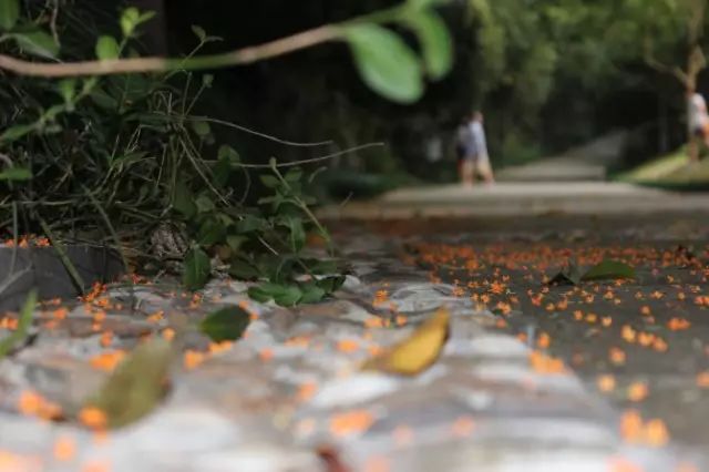 秋意正濃，與8家最美民宿一起相約杭州