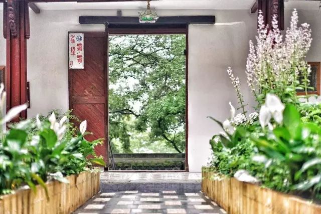 秋意正濃，與8家最美民宿一起相約杭州