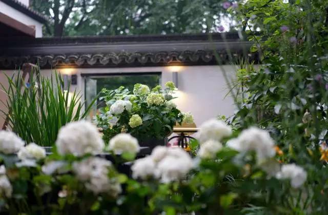 秋意正濃，與8家最美民宿一起相約杭州