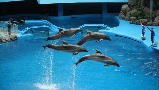 青島·Villaart維林藝墅，因?yàn)榉孔訍?ài)上一座城