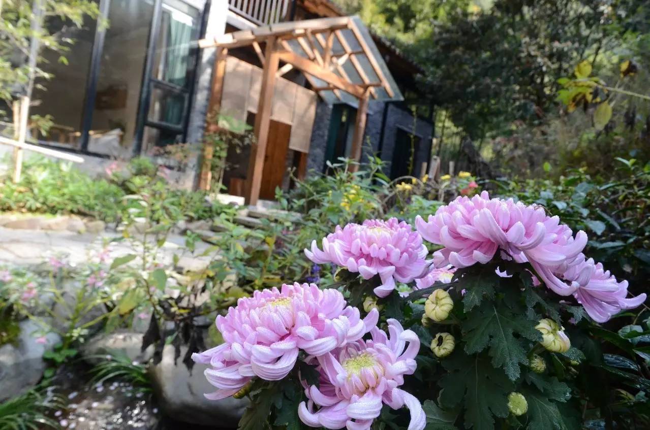 雪坑村·美客愛途，愛上美麗的客居地和旅途故事