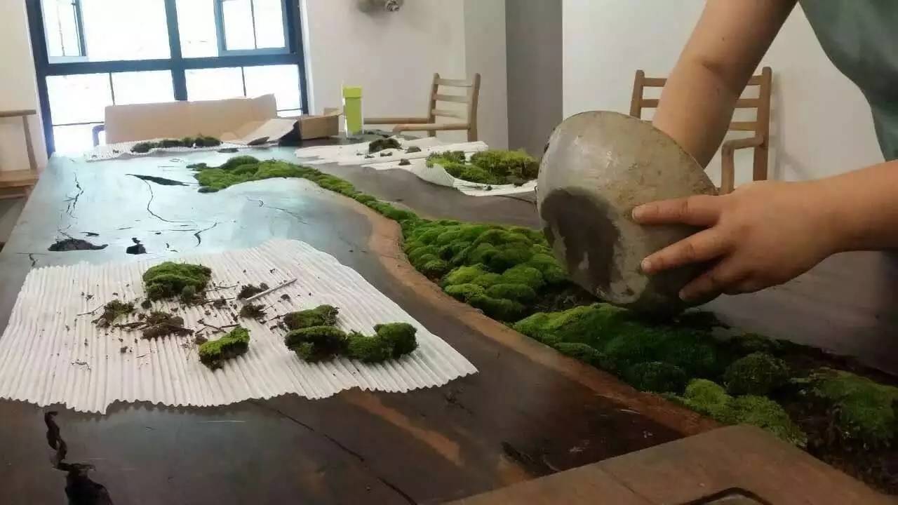 雪坑村·美客愛途，愛上美麗的客居地和旅途故事