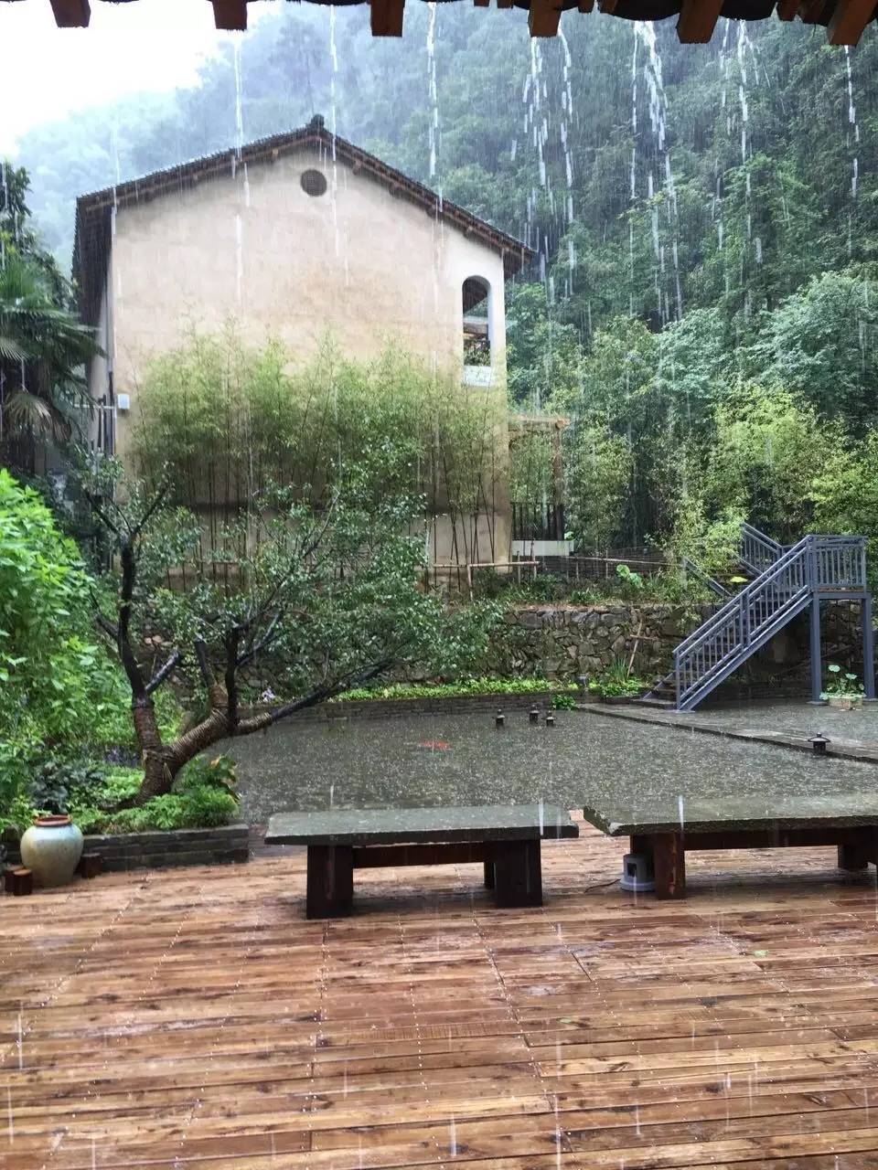 雪坑村·美客愛(ài)途，愛(ài)上美麗的客居地和旅途故事