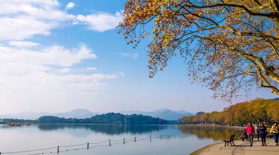 杭州·駐Hotel，在杭州最美季節(jié)體驗藝術空間