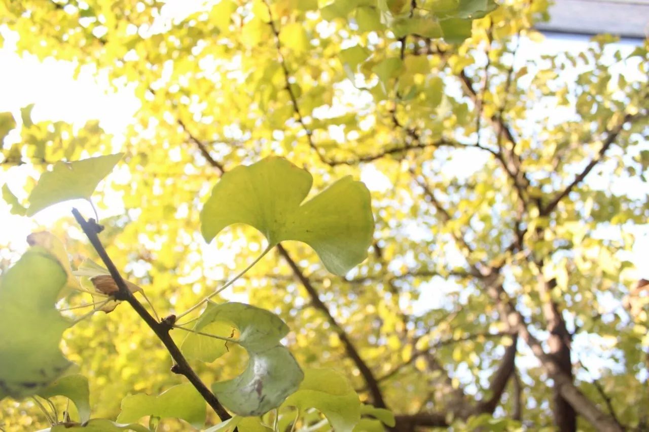 杭州·駐Hotel，在杭州最美季節(jié)體驗藝術空間