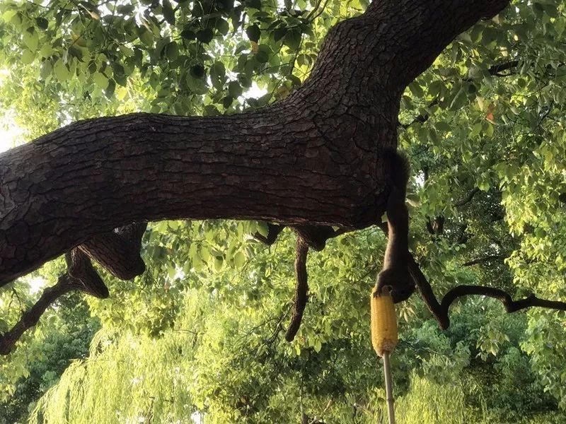 杭州·駐Hotel，在杭州最美季節(jié)體驗藝術空間