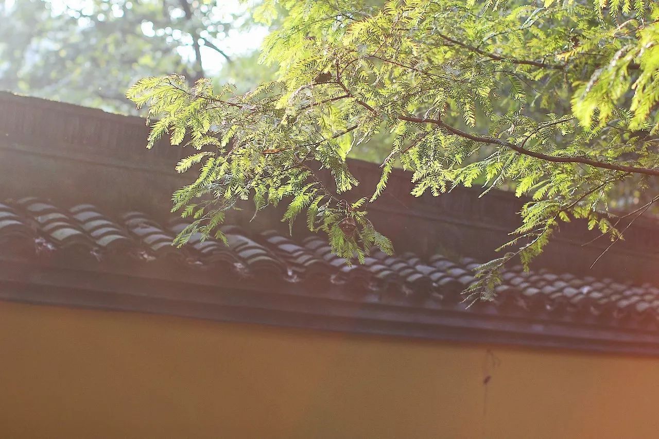 杭州·駐Hotel，在杭州最美季節(jié)體驗藝術空間