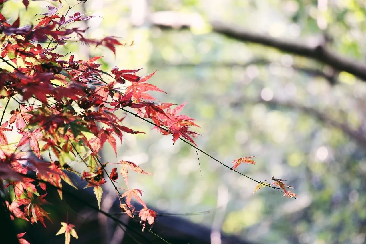 杭州·駐Hotel，在杭州最美季節(jié)體驗藝術空間