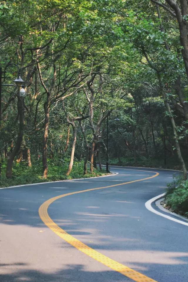 杭州·駐Hotel，在杭州最美季節(jié)體驗藝術空間