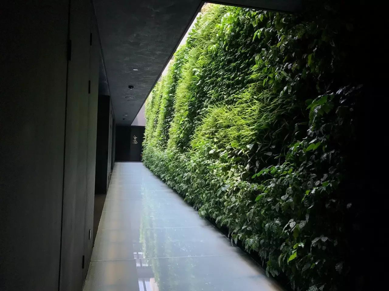 杭州·駐Hotel，在杭州最美季節(jié)體驗藝術(shù)空間