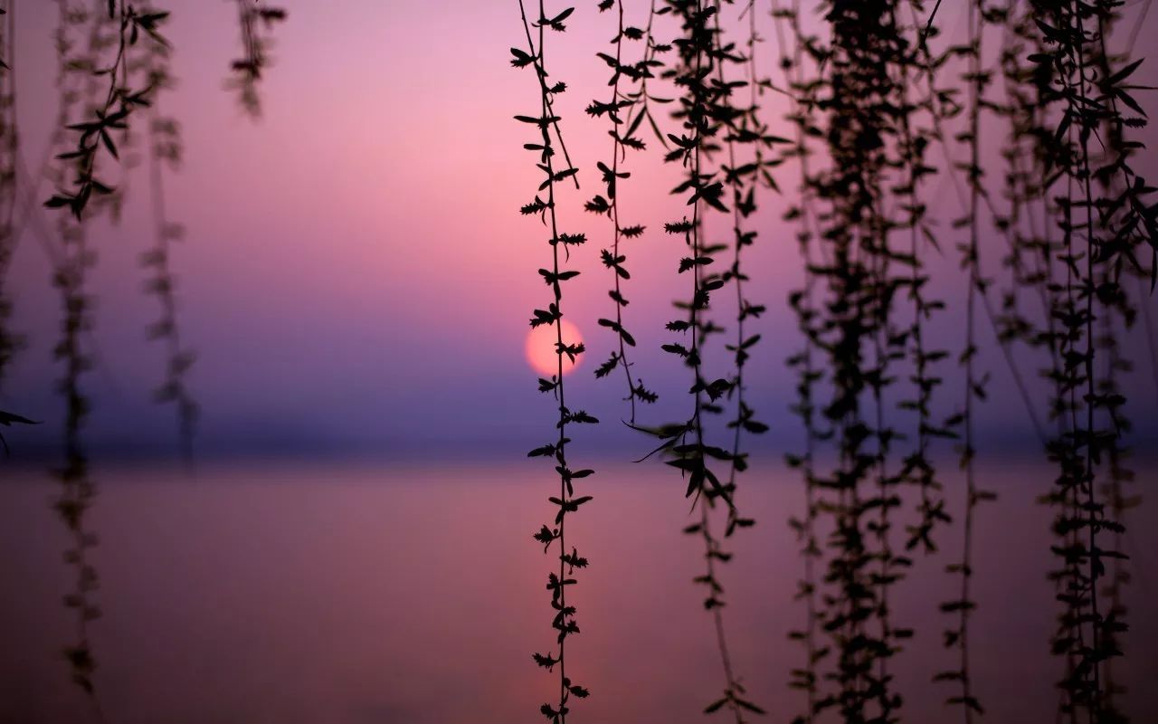 杭州·駐Hotel，在杭州最美季節(jié)體驗藝術(shù)空間