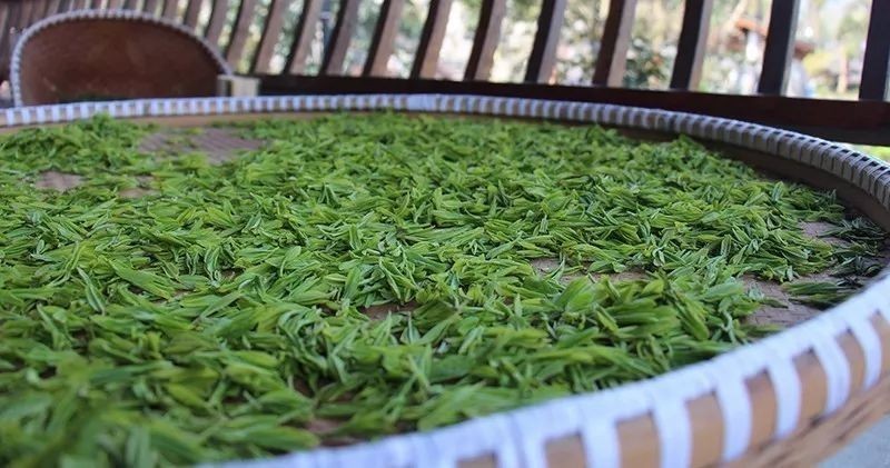 七椀居茶舍，喝西湖龍井茶感受西湖美秋季美