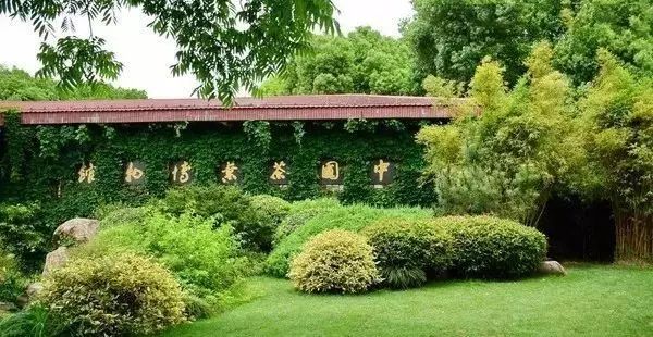 七椀居茶舍，喝西湖龍井茶感受西湖美秋季美