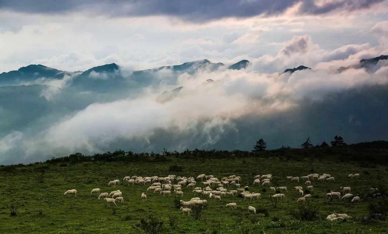皇木鎮(zhèn)·壹間房，住進(jìn)云霧間愛上一座城